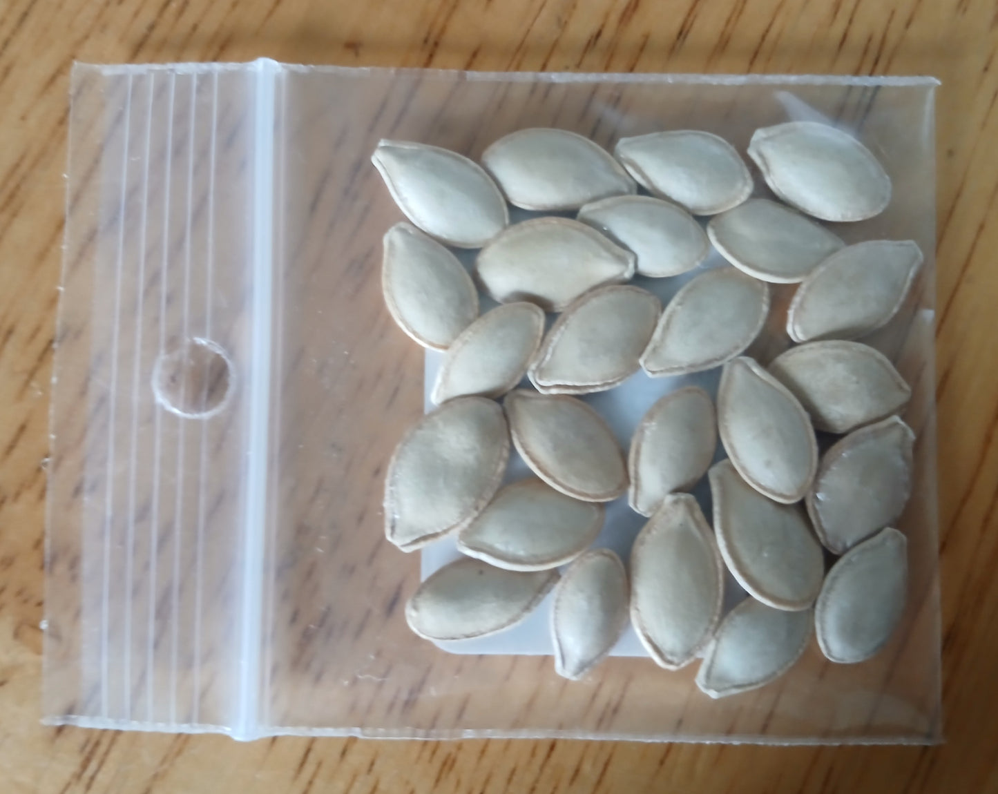 Early Crookneck Summer Squash Heirloom seeds