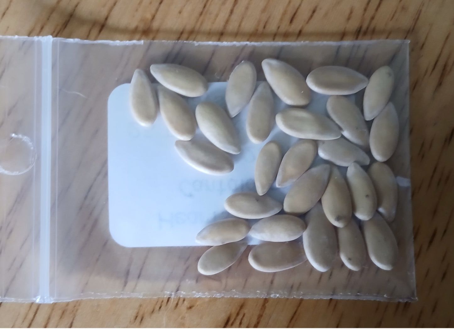 Hearts of Gold Melon Heirloom seeds