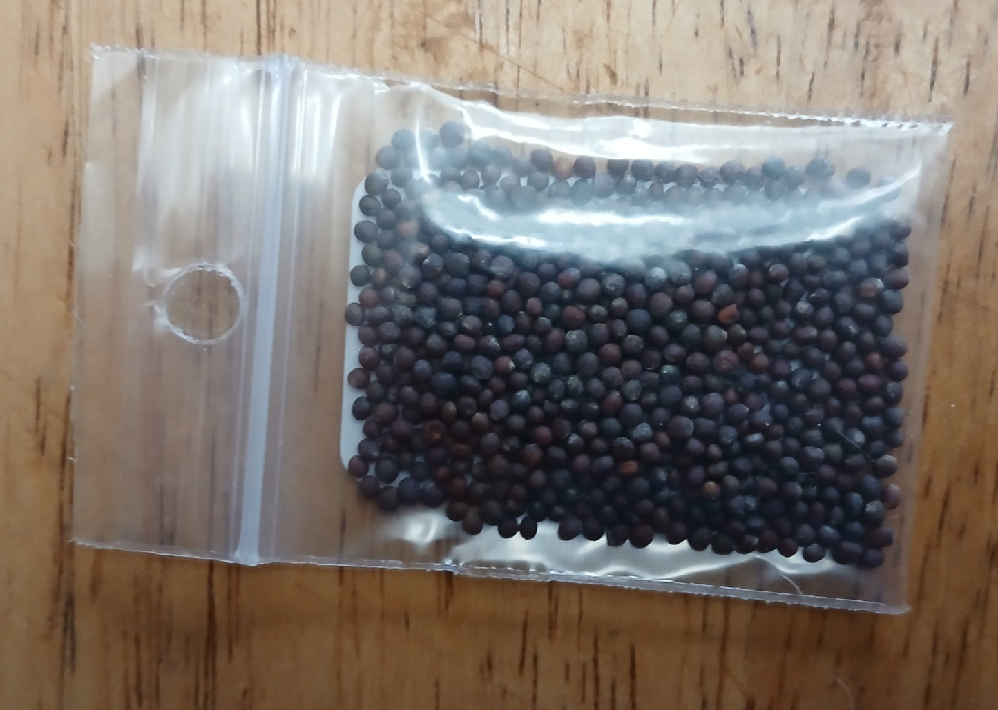 Red Acre Cabbage Heirloom seeds