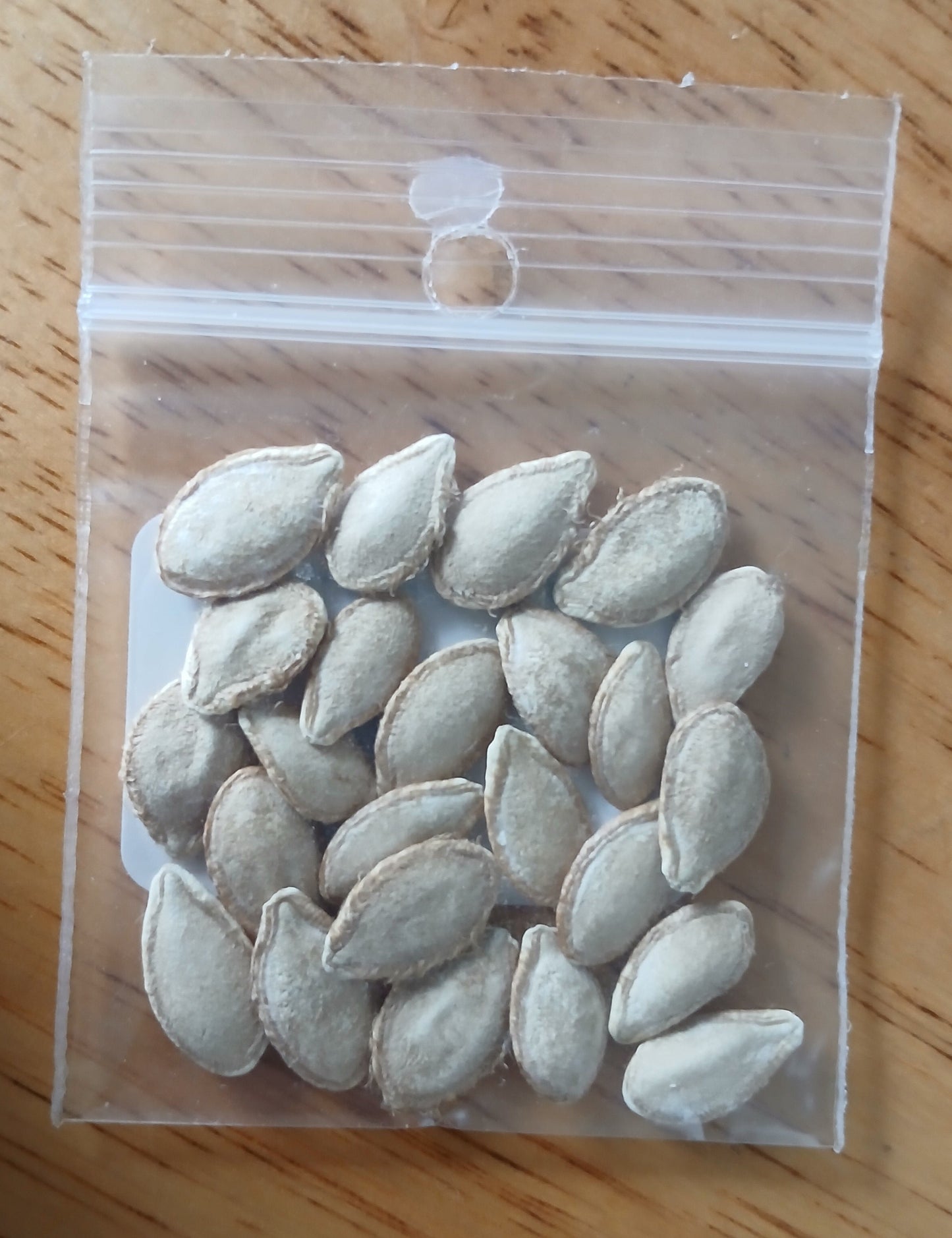 Waltham Butternut Squash Heirloom seeds