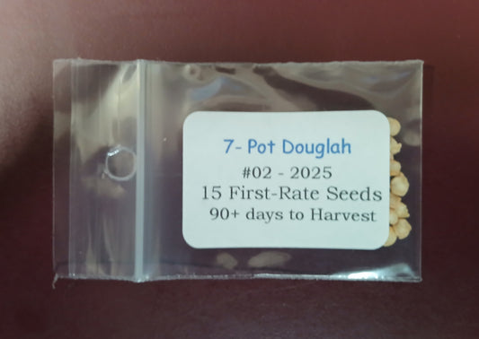 15 - Heirloom Harvest of Premium Super-Hot 7 Pot Douglah Pepper Seeds