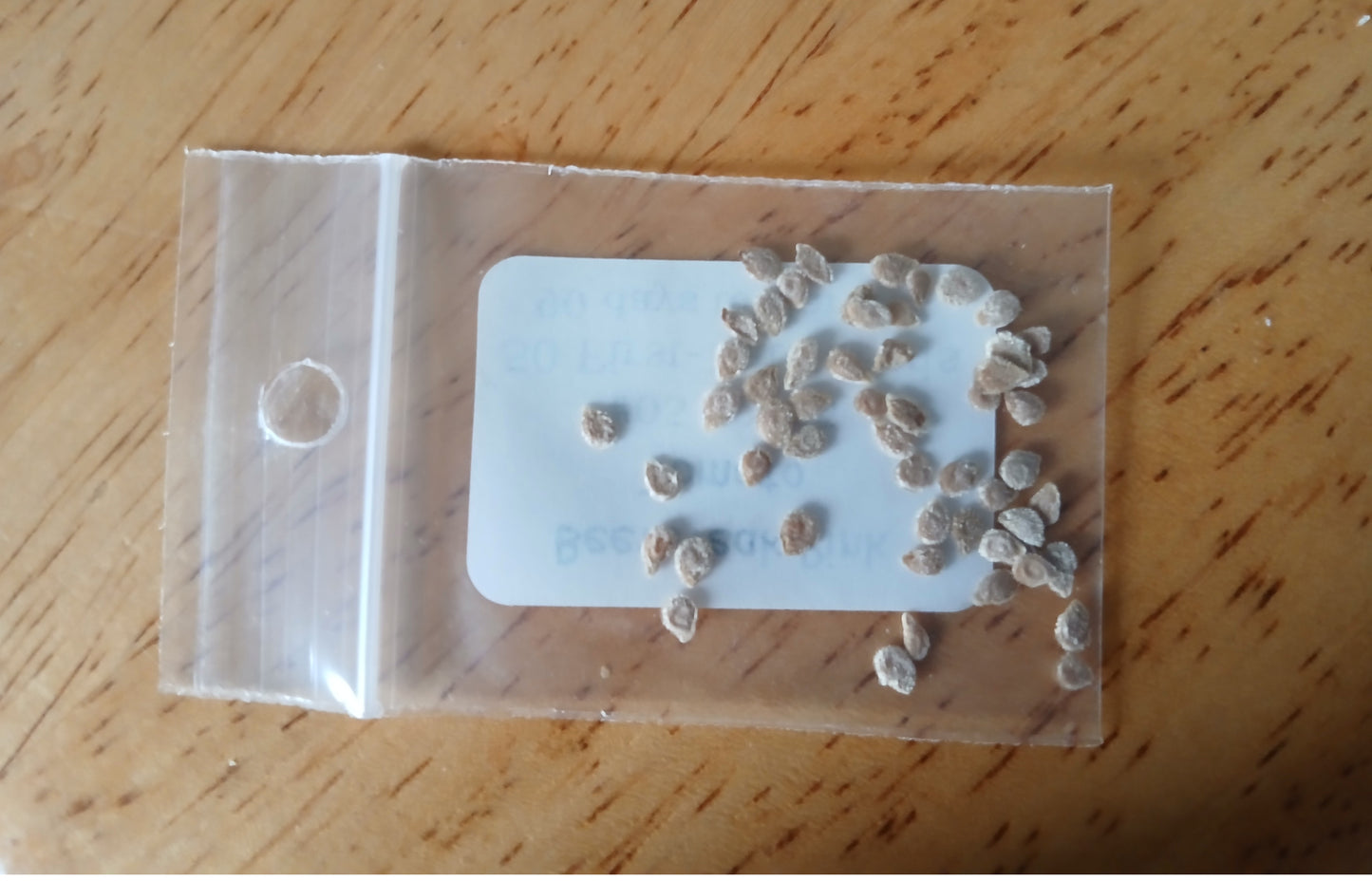 Beefsteak Pink Tomato Heirloom seeds
