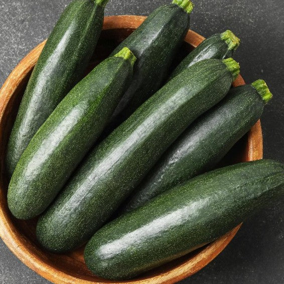 Black Beauty Squash growing on the vine