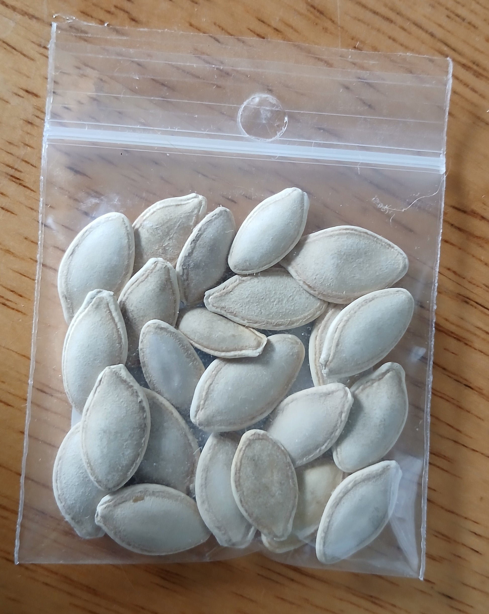 Black Beauty Squash Heirloom Seeds