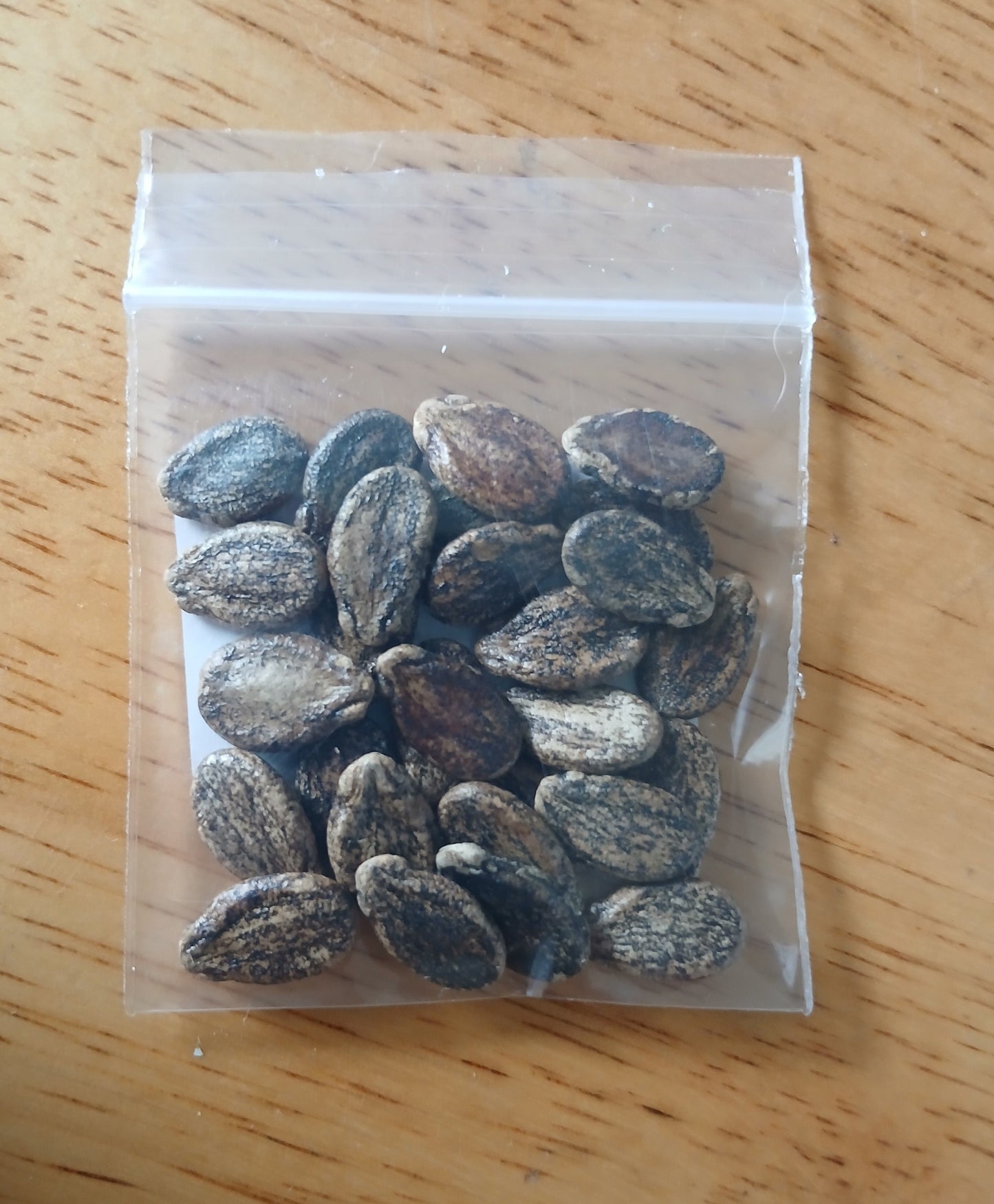 Black Diamond Watermelon Heirloom seeds
