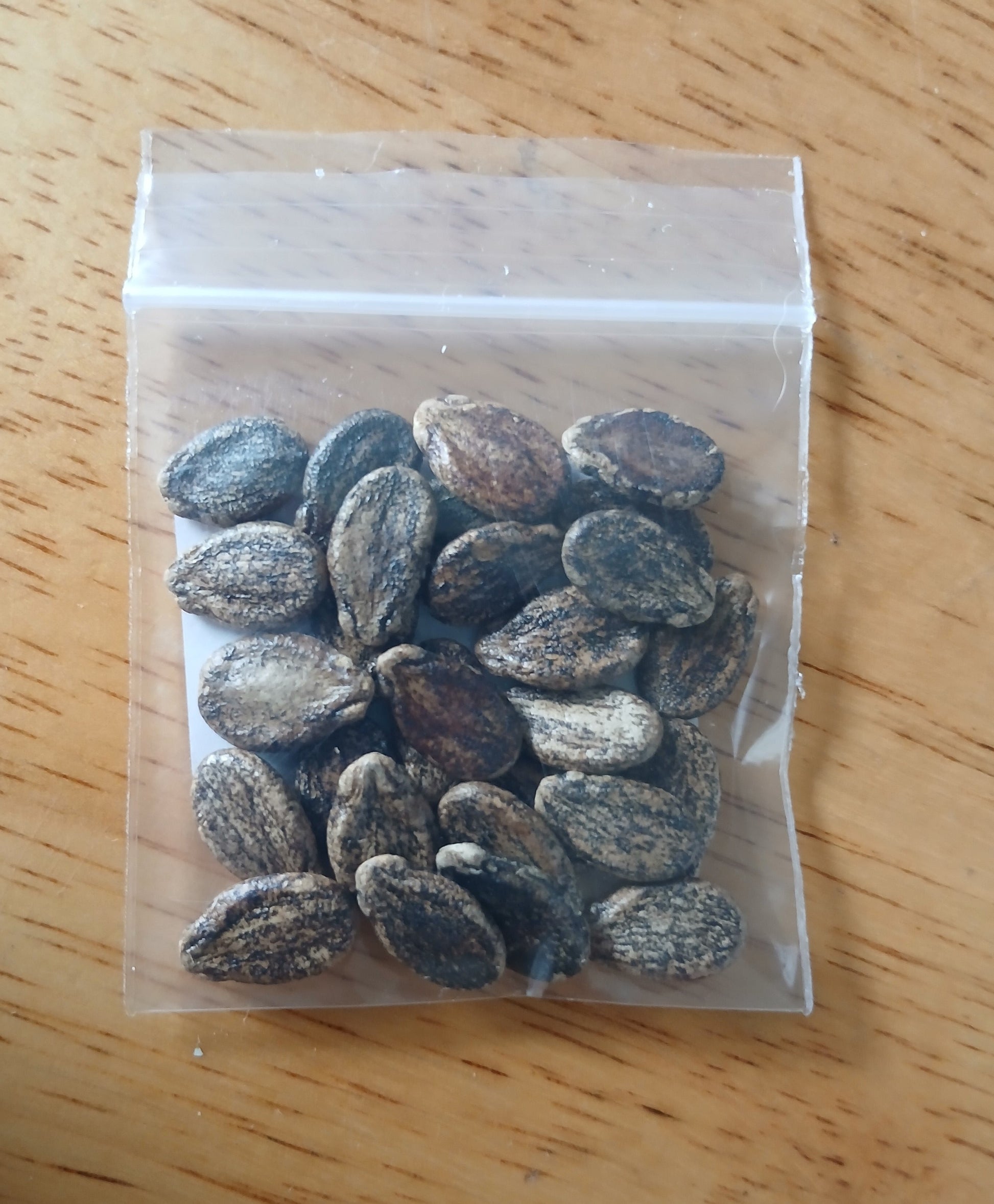 Black Diamond Watermelon Heirloom seeds