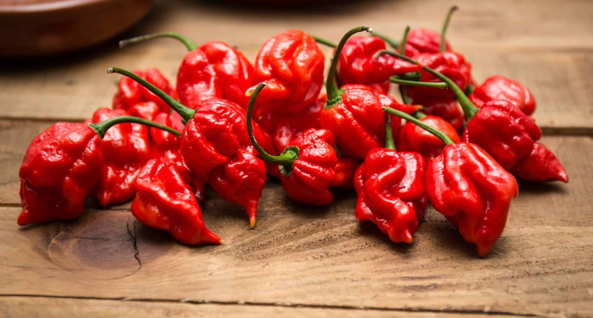 Scorpion Butch T Pepper on the plant