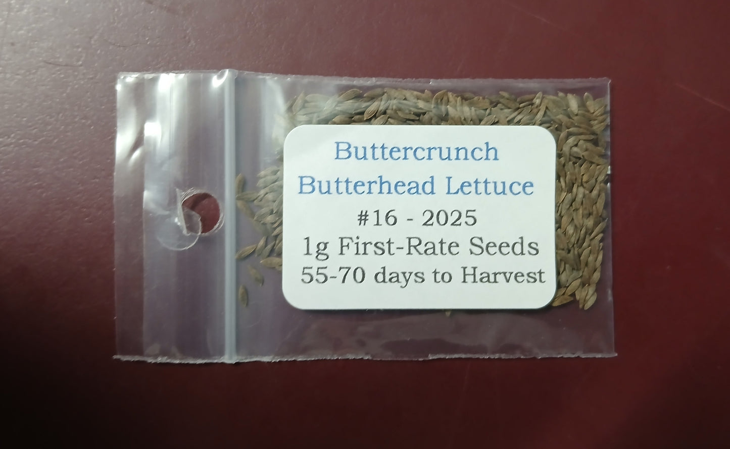 Buttercrunch Butterhead heirloom lettuce Heirloom seeds