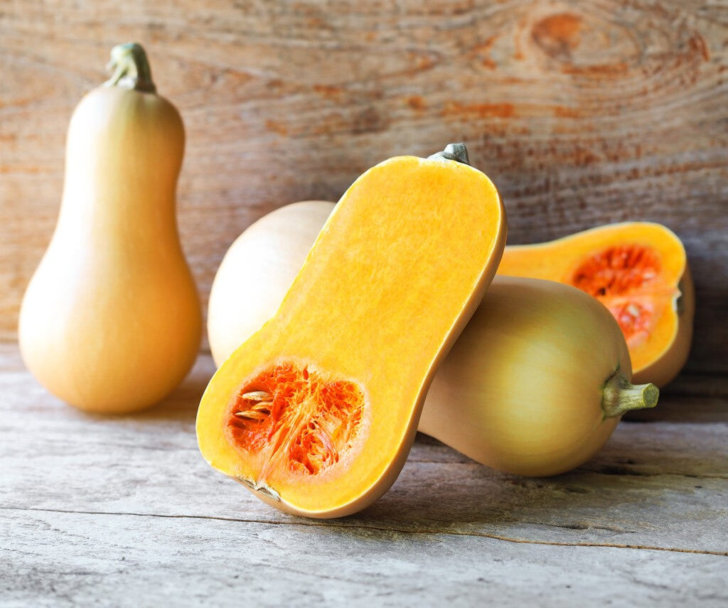 Waltham Butternut Squash growing on the vine