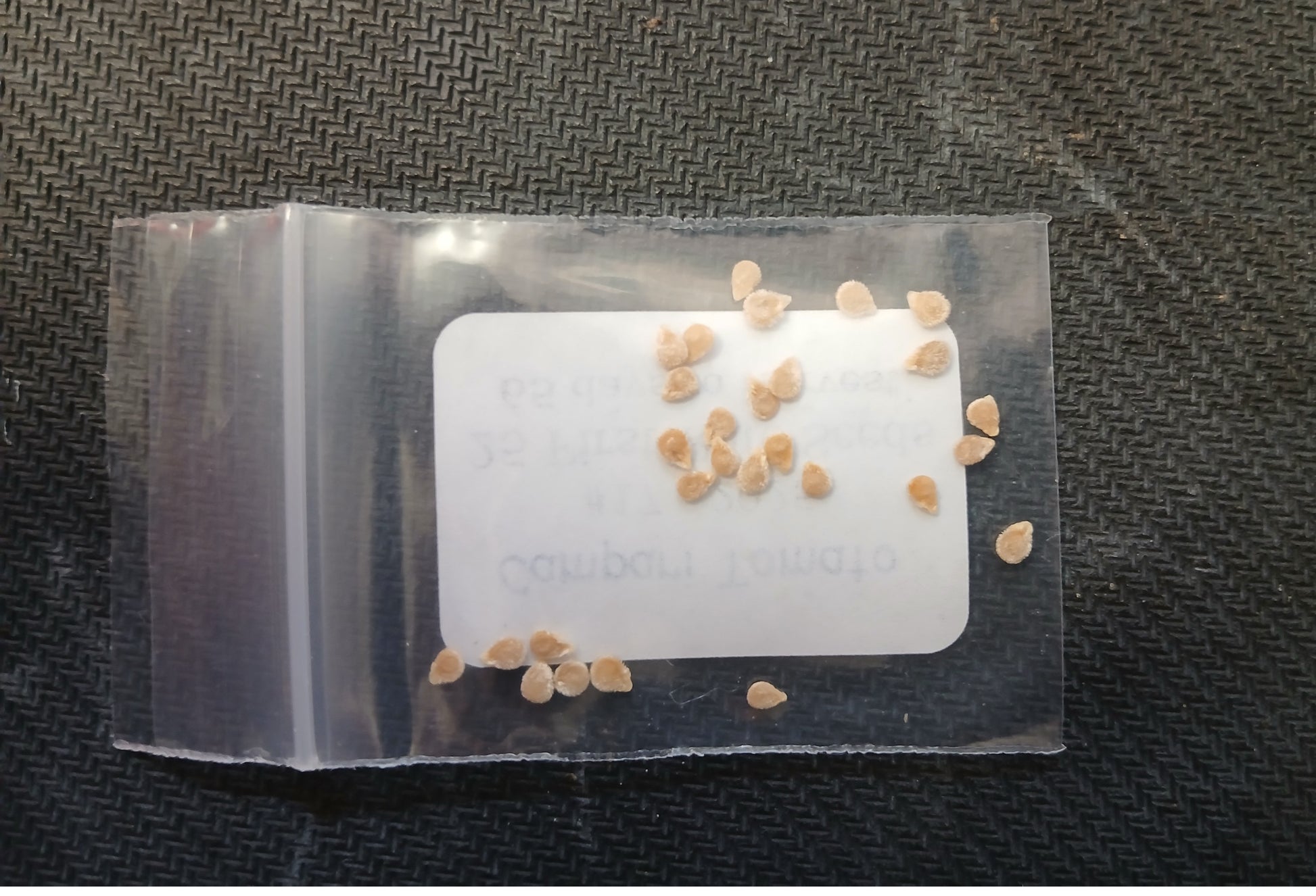 Sweet Campari Tomato Heirloom seeds