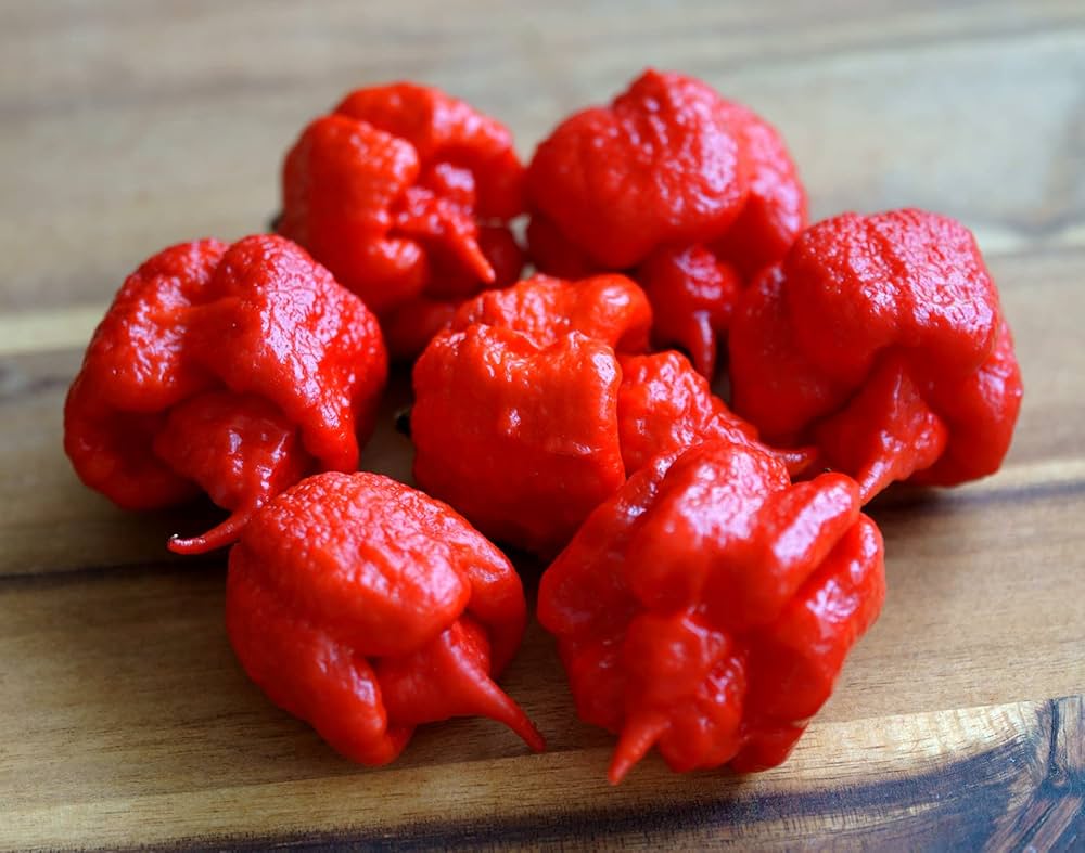 Carolina Reaper Pepper on the plant