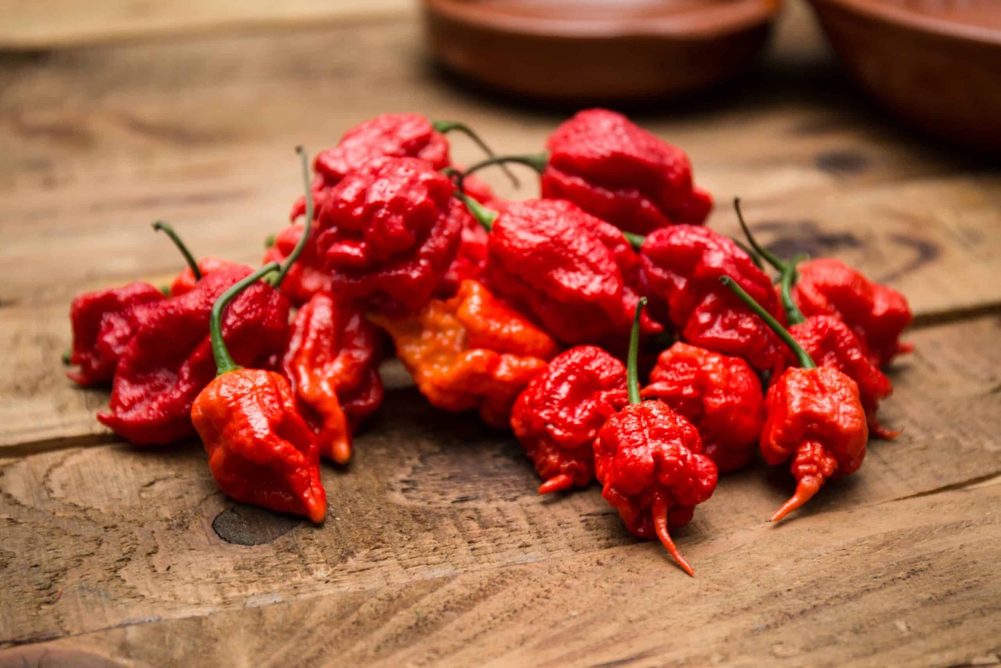 Carolina Reaper Pepper on the plant