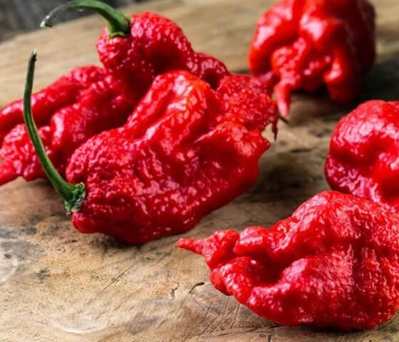 Carolina Reaper Pepper on the plant