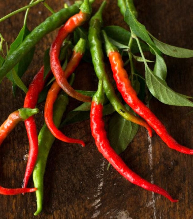Cayenne Long Slim Pepper on the plant