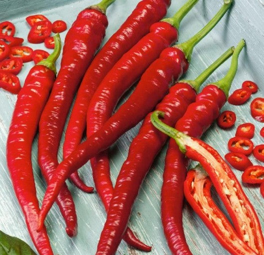 Cayenne Long Slim Pepper on the plant