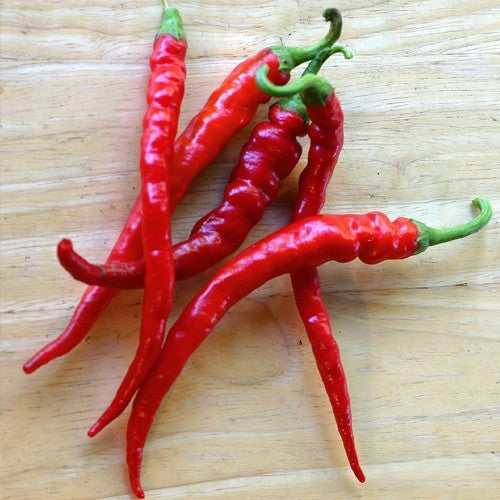 Cayenne Long Slim Pepper on the plant