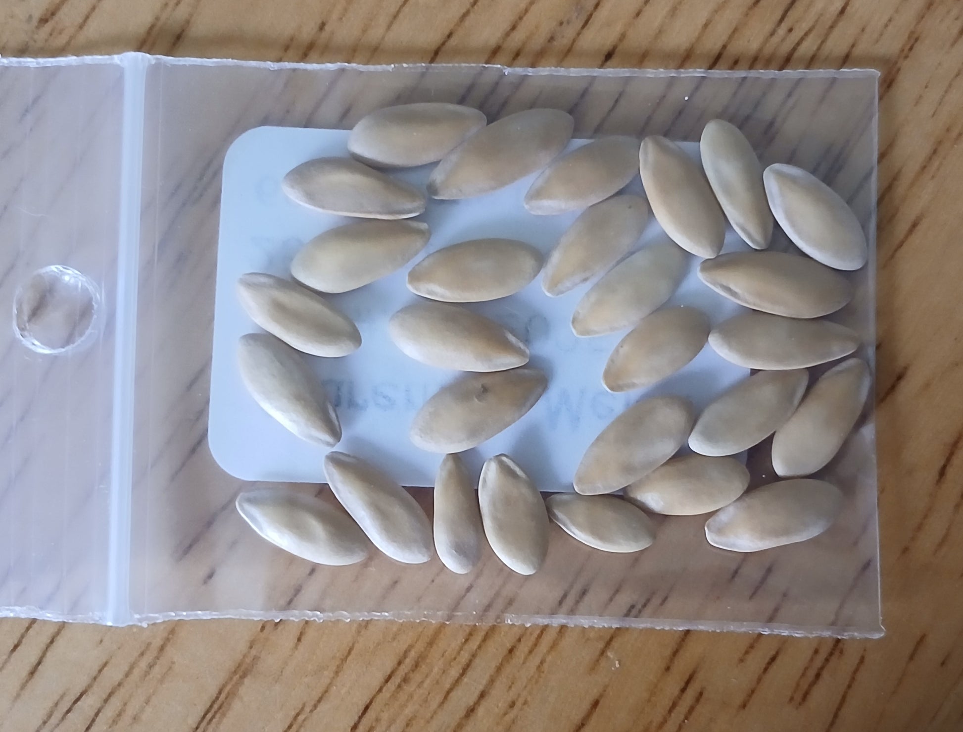 Charentais Melon Heirloom seeds