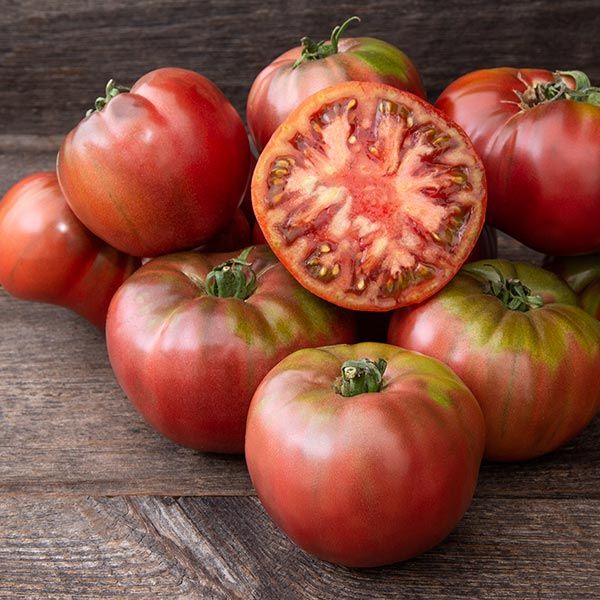 Cherokee Purple Tomato on the plant