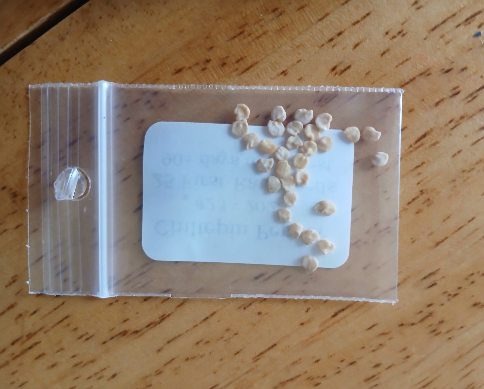 Chiltepin Pepper Heirloom seeds