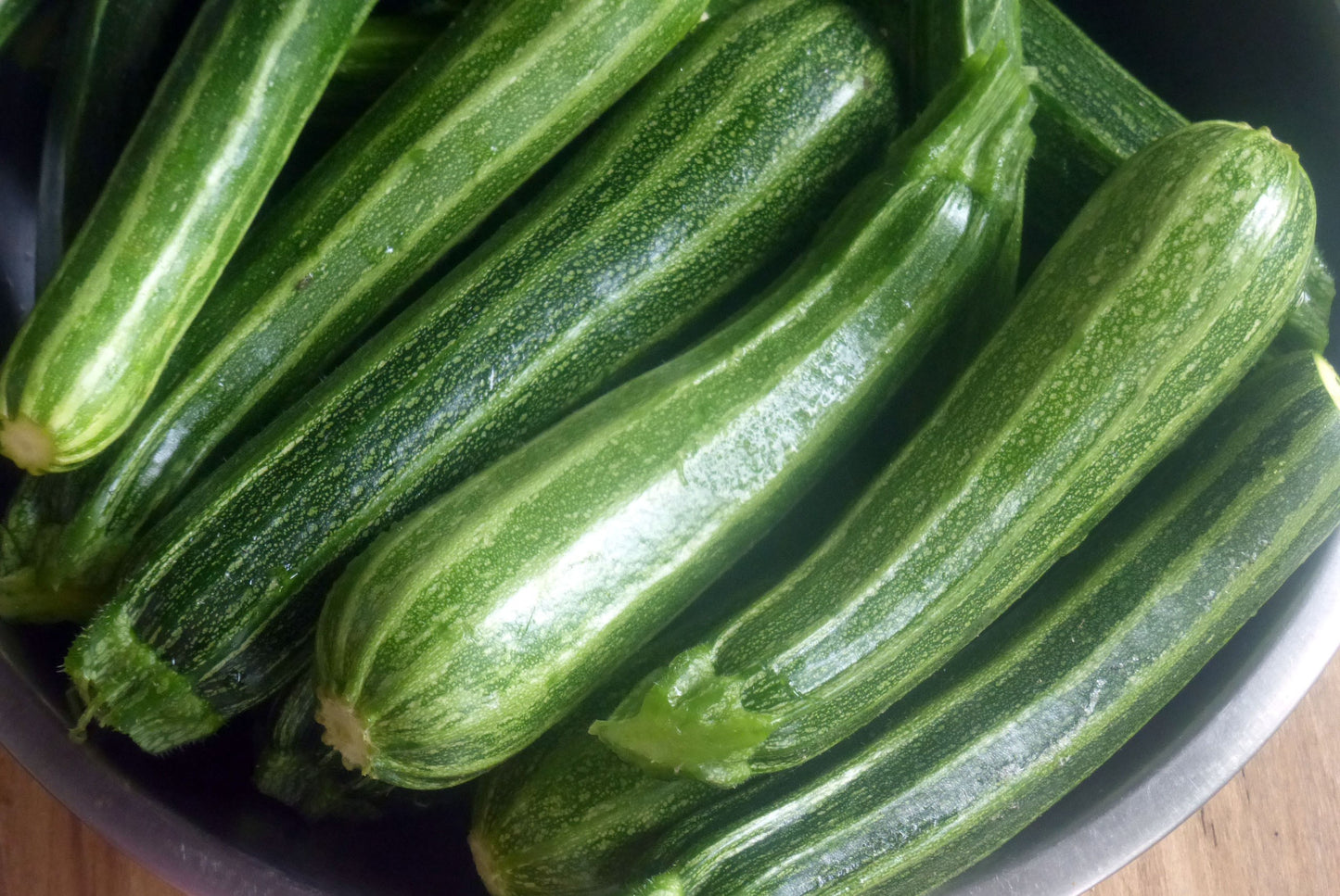 Italian Cocozelle Zucchini growing on the vine