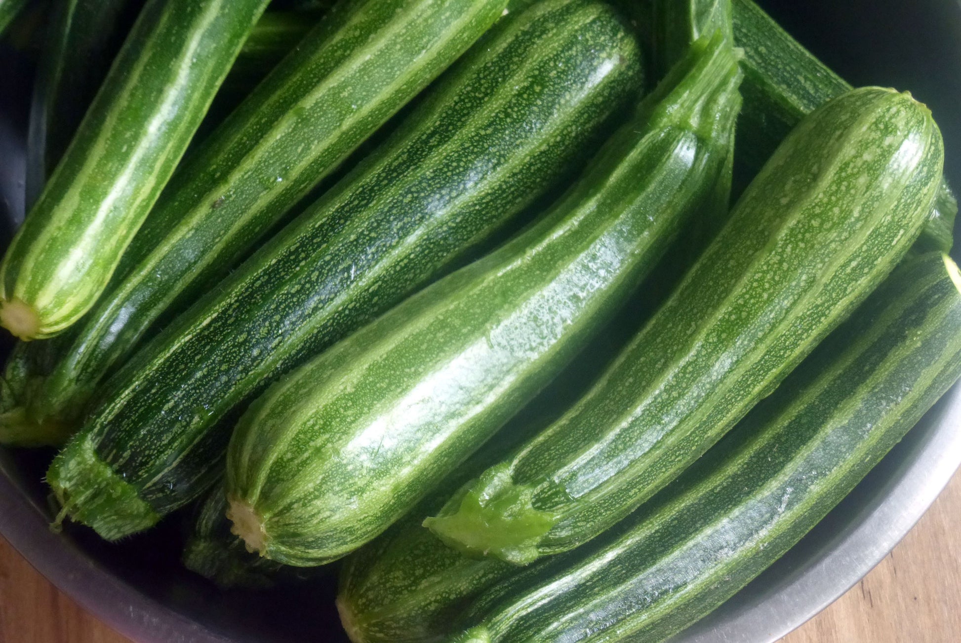 Italian Cocozelle Zucchini growing on the vine