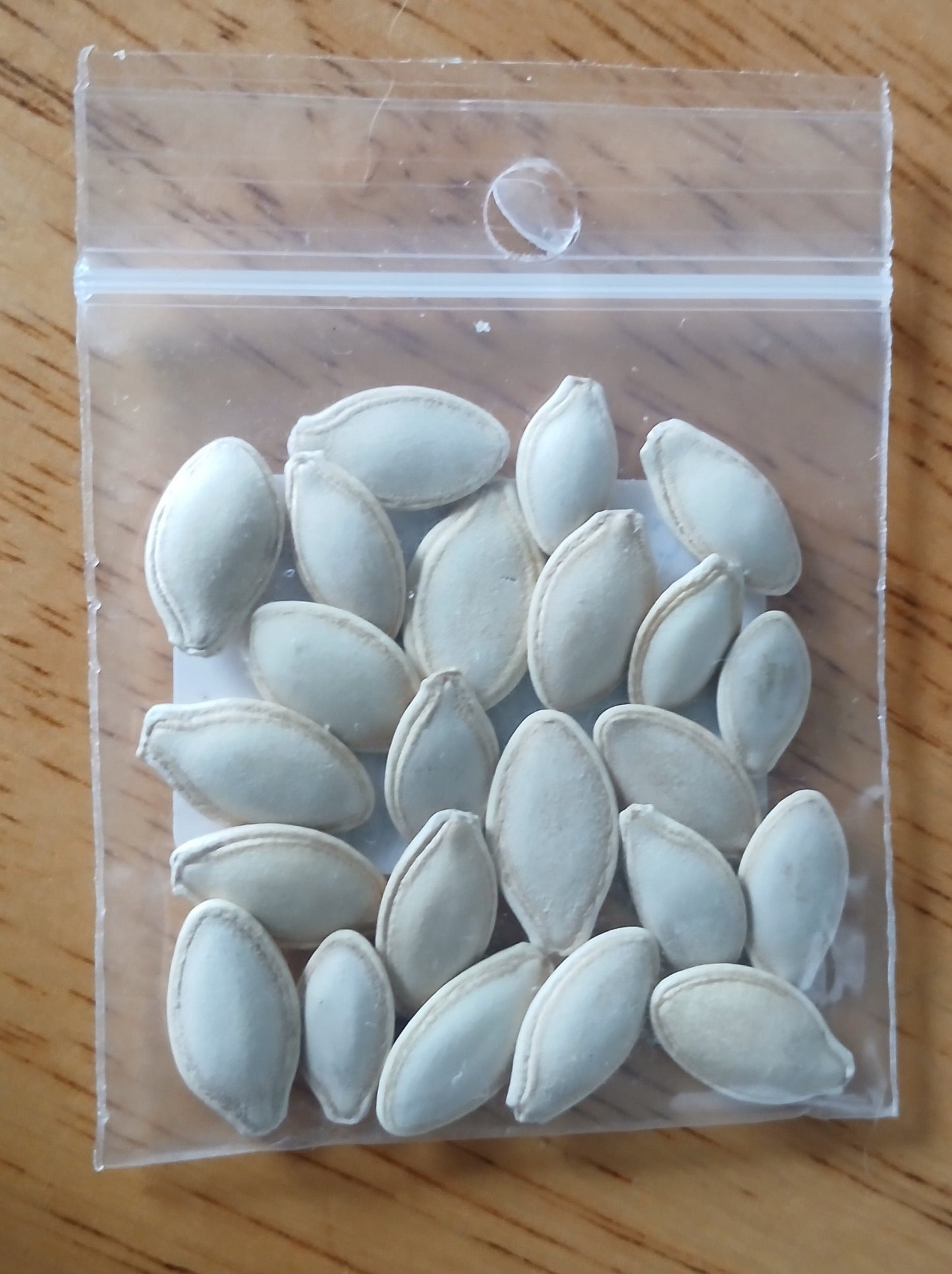 Italian Cocozelle Zucchini Heirloom seeds