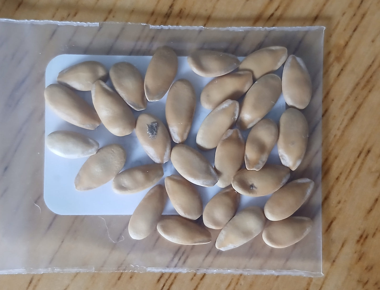 Crenshaw Melon Heirloom seeds