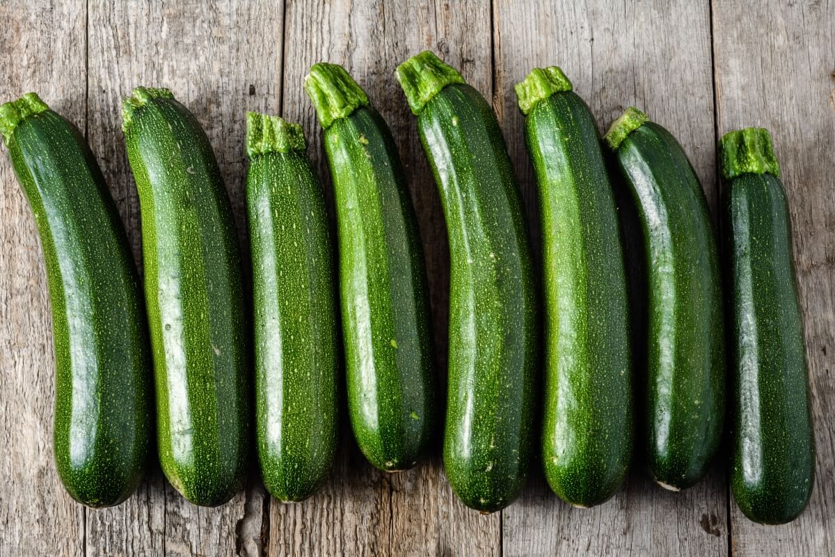 Dark Green Zucchini growing on the vine