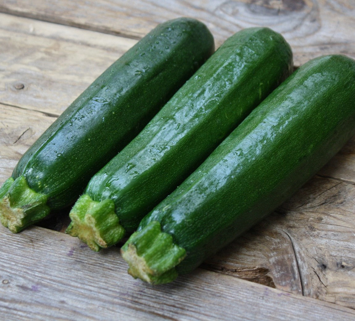 Dark Green Zucchini growing on the vine