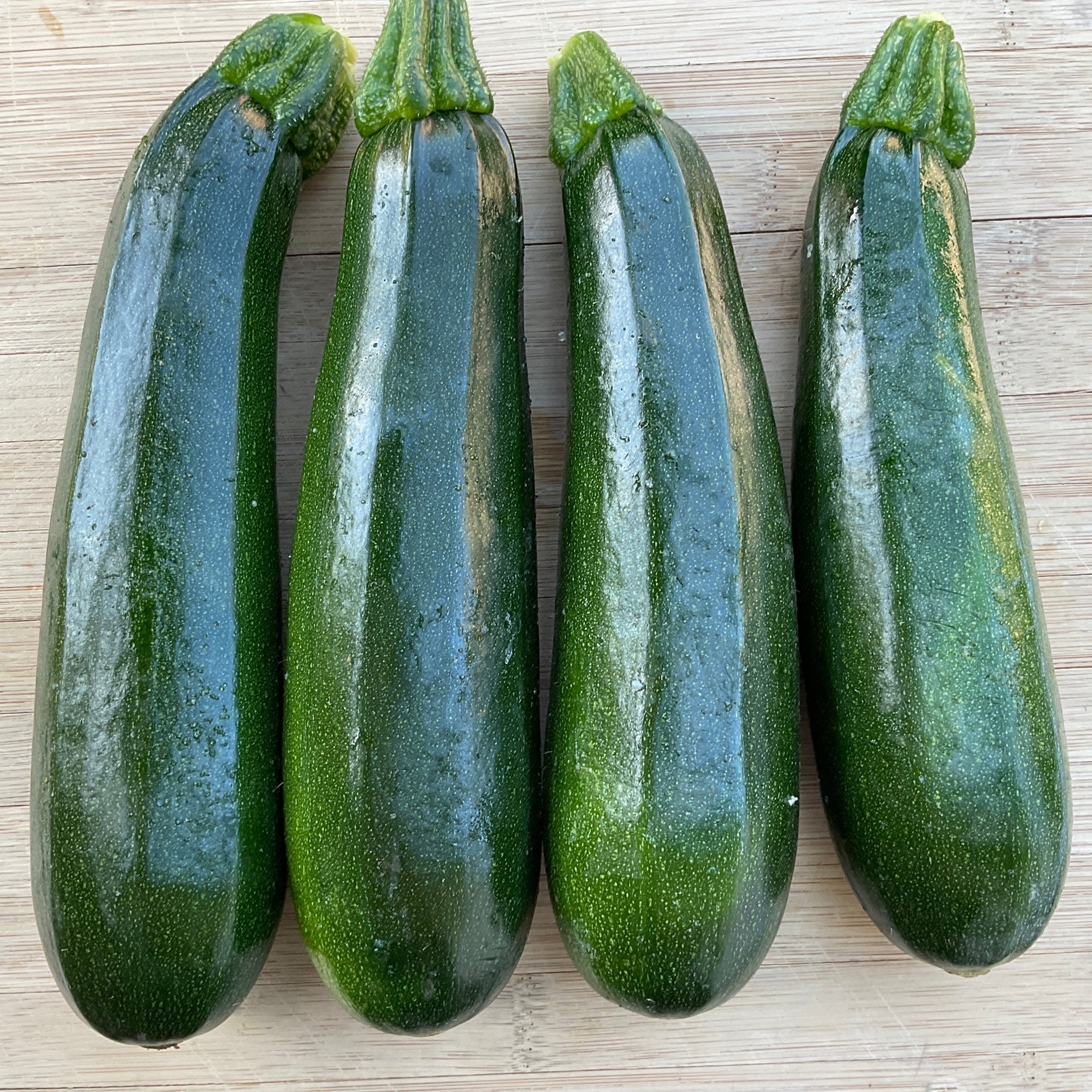 Dark Green Zucchini growing on the vine