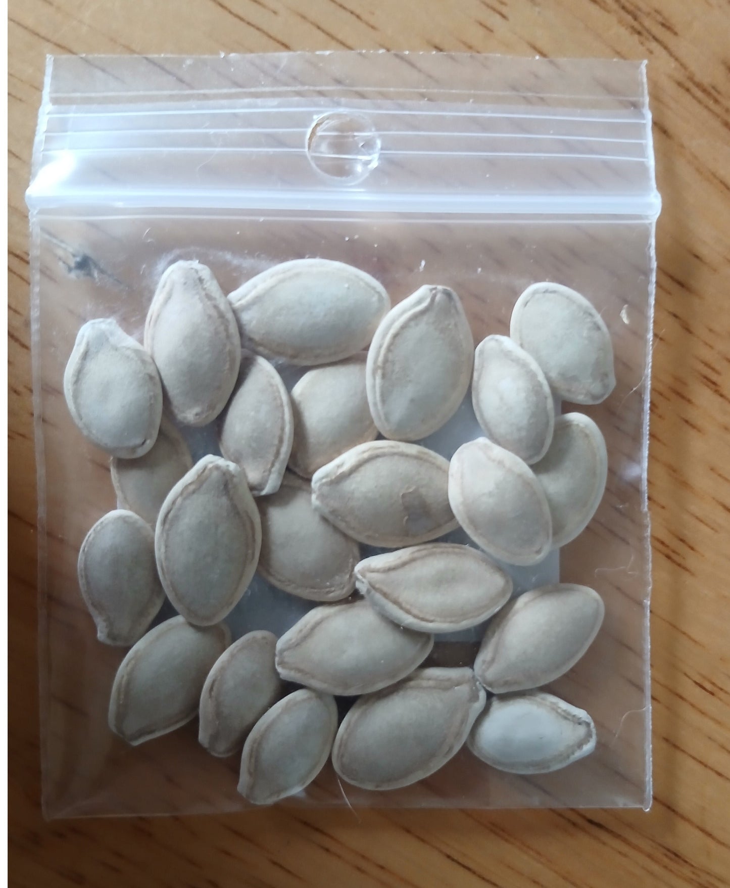 Dark Green Zucchini Heirloom seeds