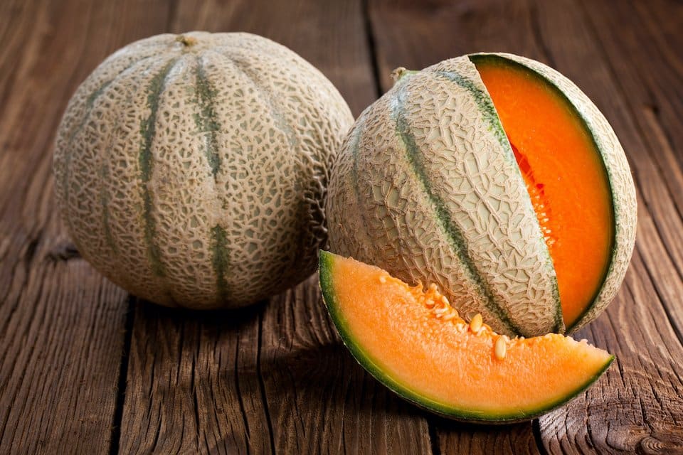 Delicious 51 Melon growing on the vine
