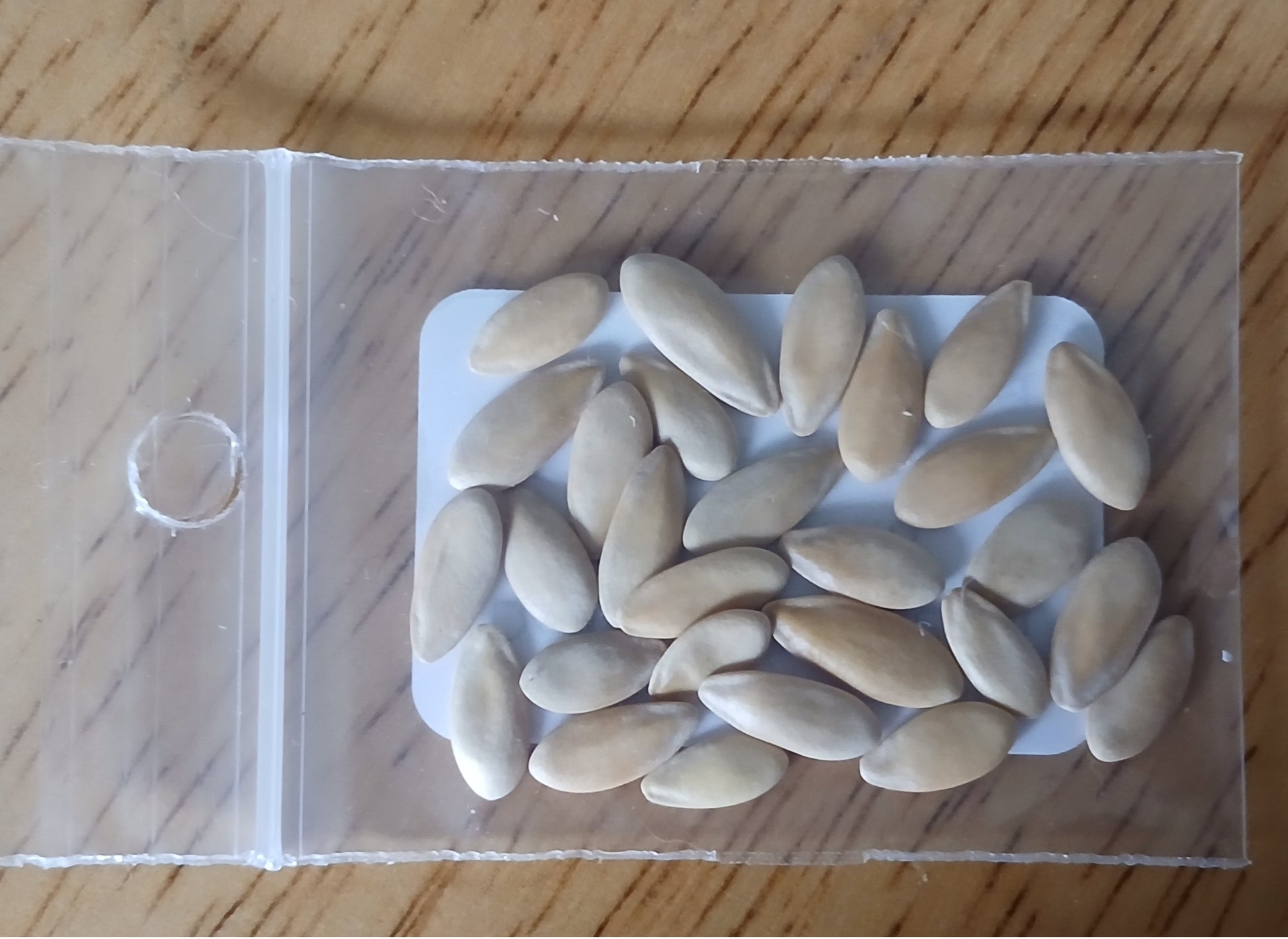Delicious 51 Melon Heirloom seeds