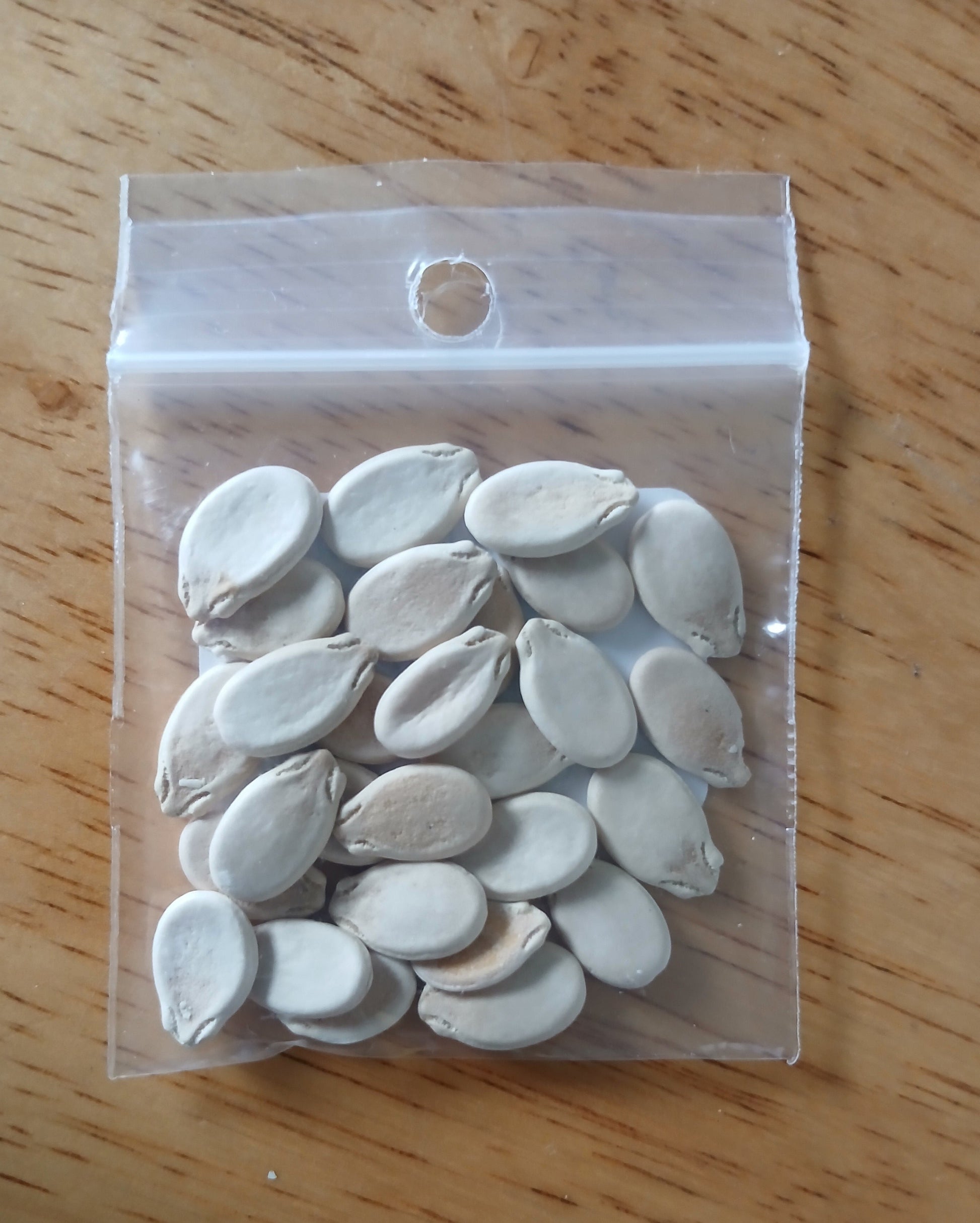 Dixie Queen Watermelon Heirloom seeds
