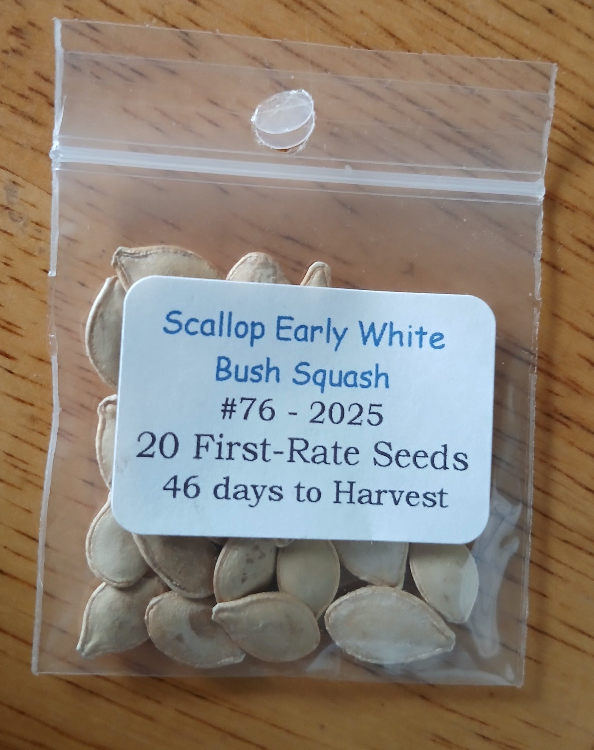 Early White Bush Scallop Squash Heirloom seeds