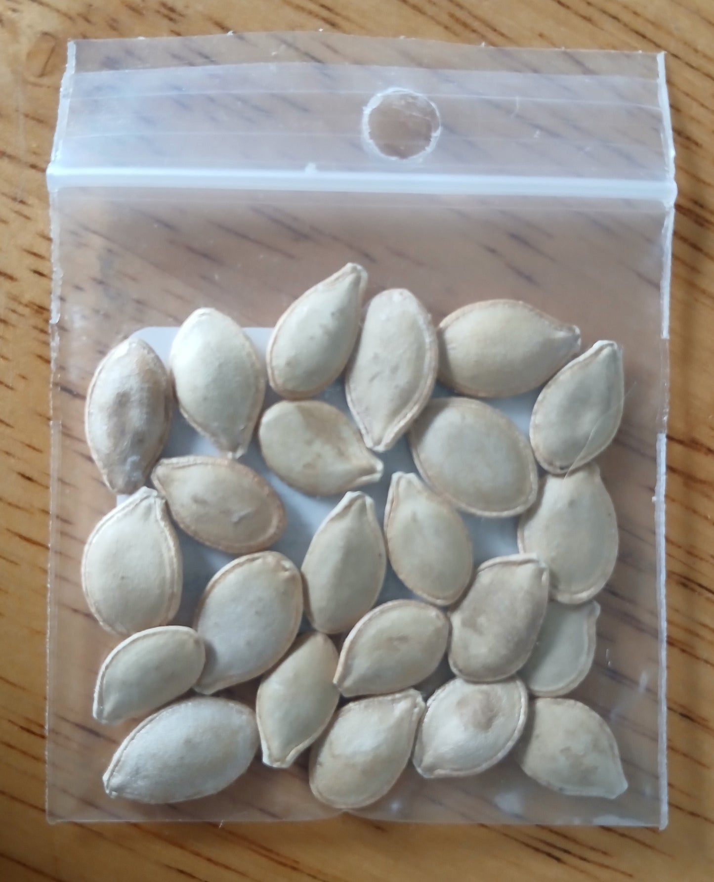 Early White Bush Scallop Squash Heirloom seeds