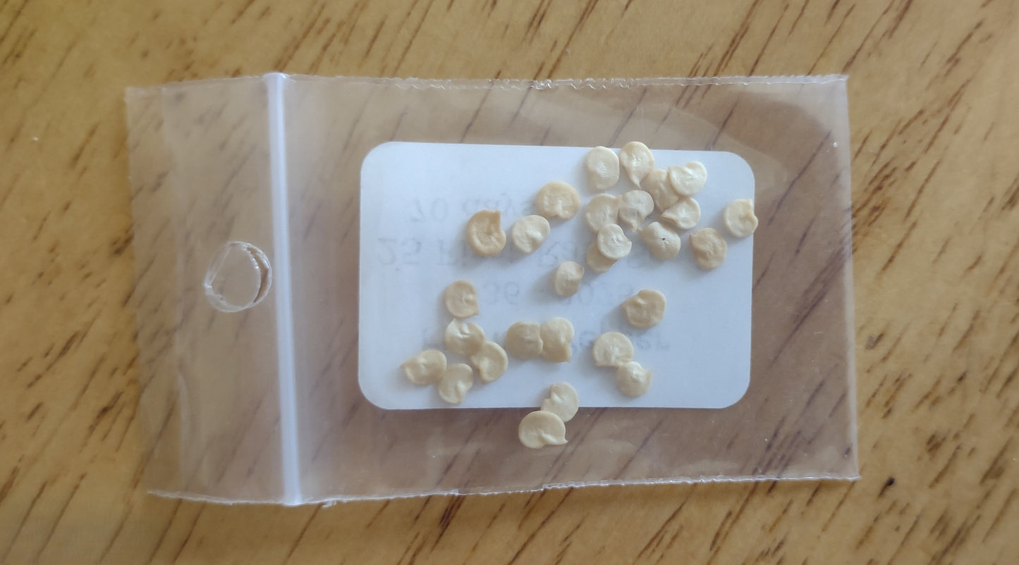 Japanese Fushimi Pepper Heirloom seeds