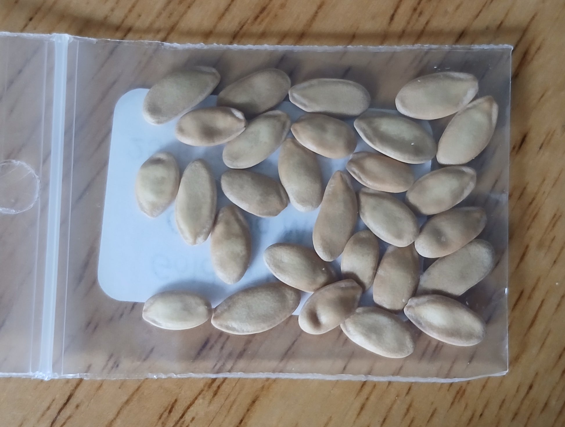 Golden Beauty Casaba Melon Heirloom seeds