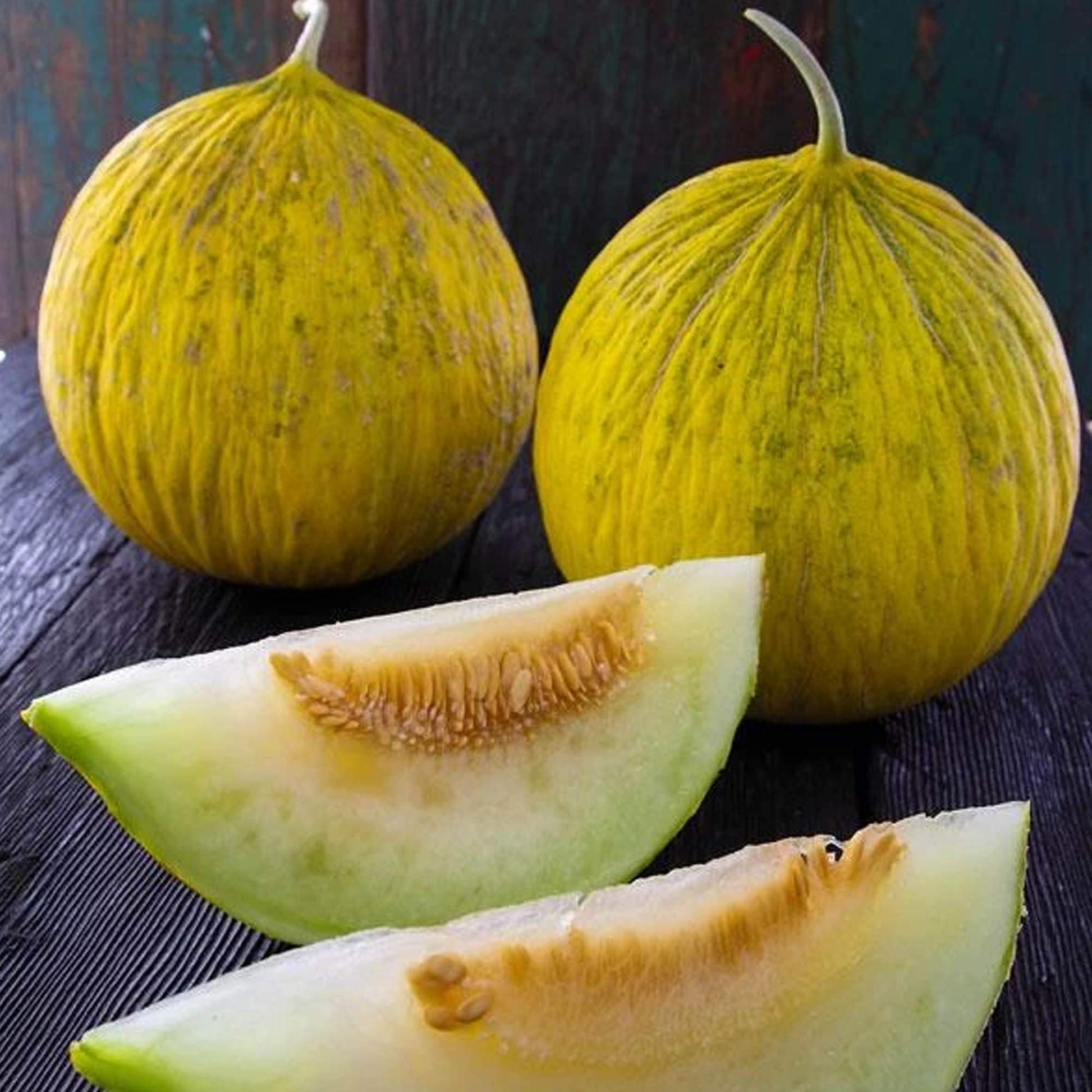 Golden Beauty Casaba Melon growing on the vine