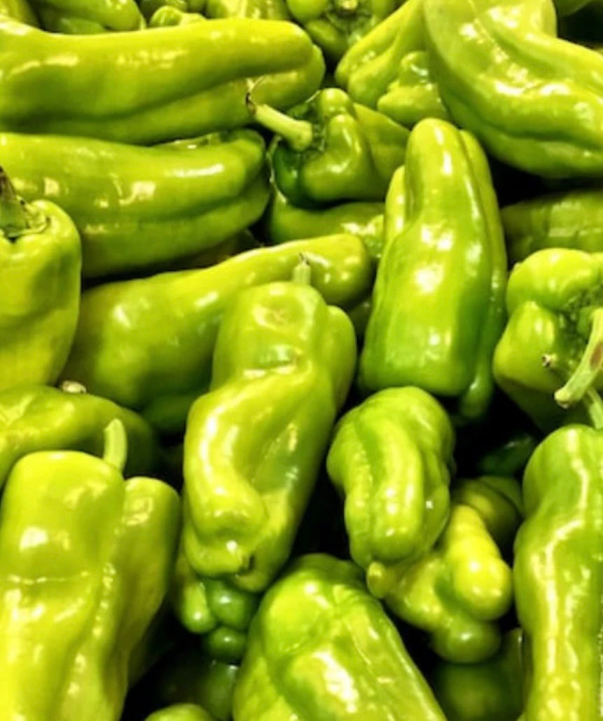 Golden Greek Pepperoncini Pepper on the plant