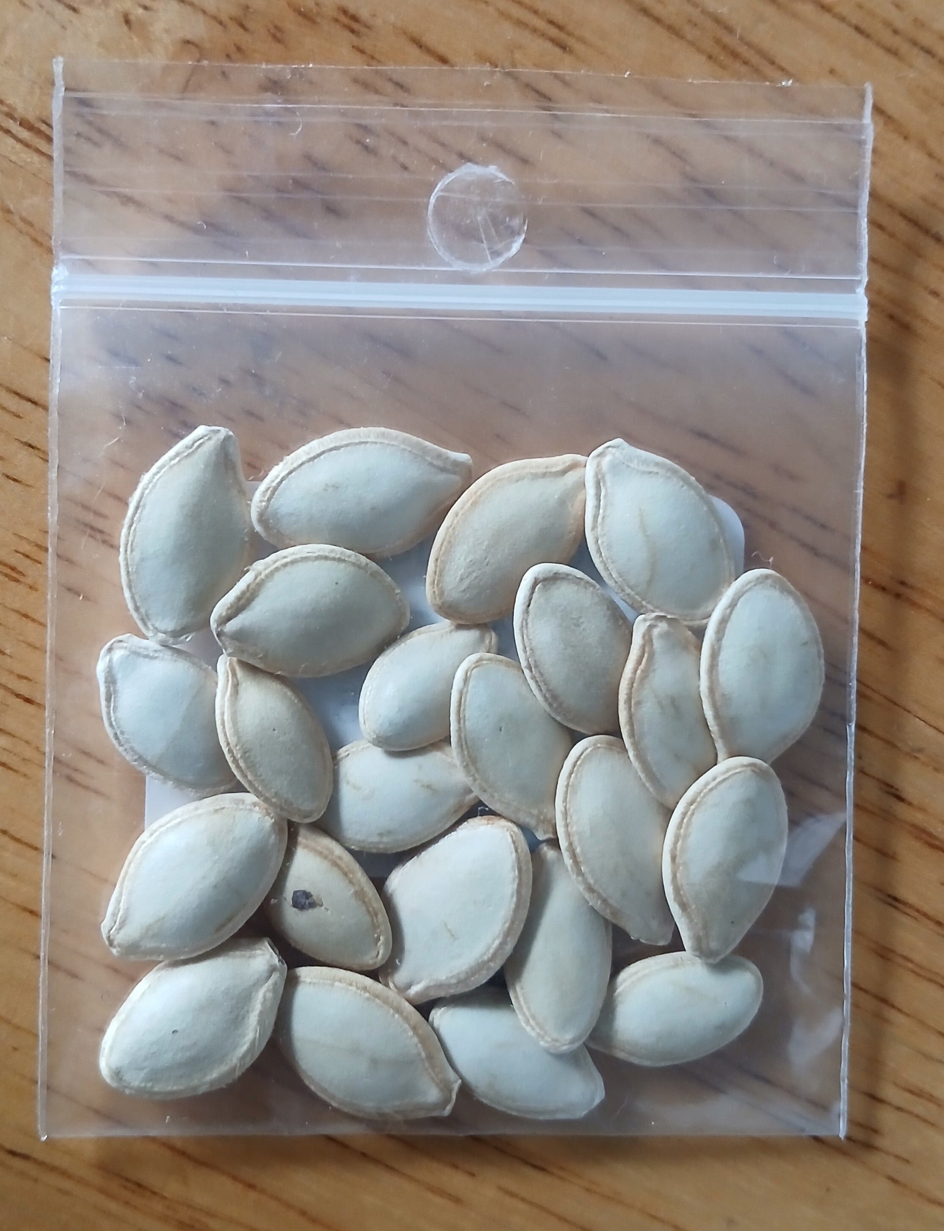 Golden Zucchini Summer Squash Heirloom seeds