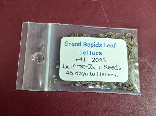Grand Rapids Leaf Lettuce Seeds – 1g (~900 Seeds)