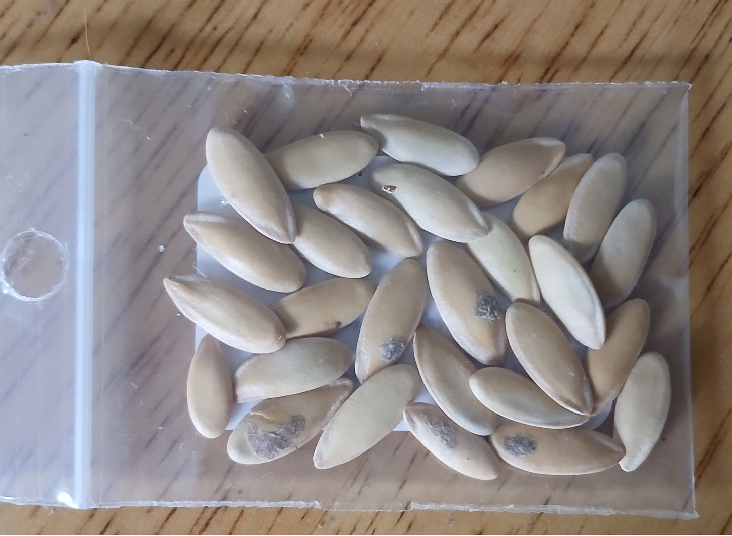 Green Flesh Honeydew Melon Heirloom seeds