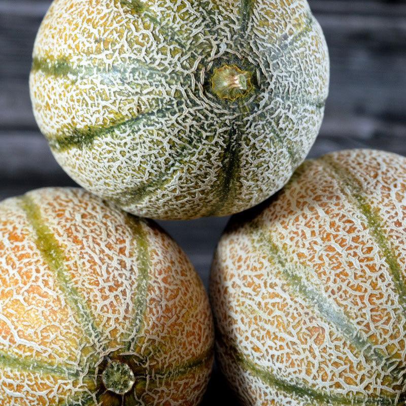 Hale's Best Jumbo Cantaloupe growing on the vine