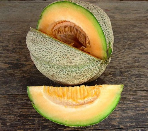 Hearts of Gold Melon growing on the vine