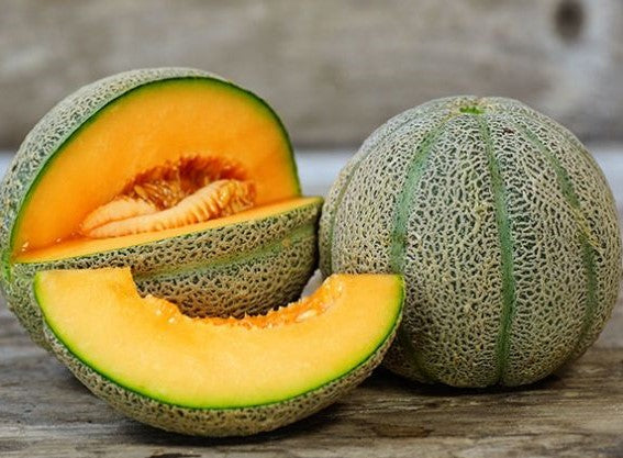 Hearts of Gold Melon growing on the vine