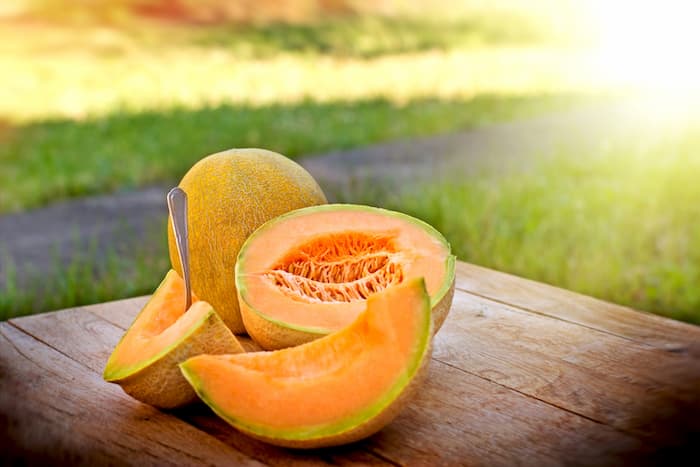 Hearts of Gold Melon growing on the vine