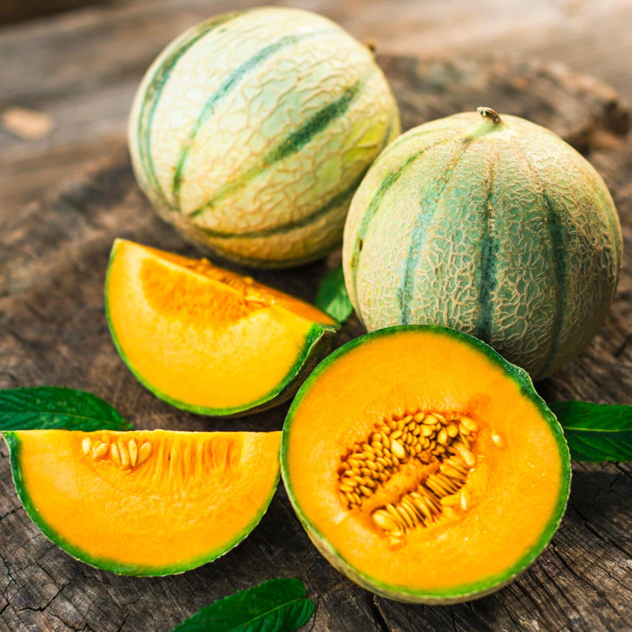 Hearts of Gold Melon growing on the vine