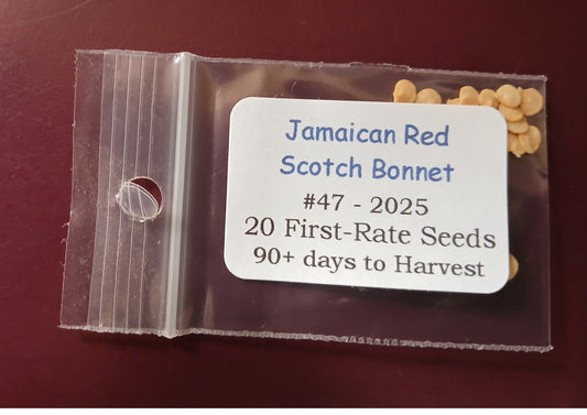 20 - Heirloom Harvest of Premium Jamaican Red Scotch Bonnet Pepper Seeds