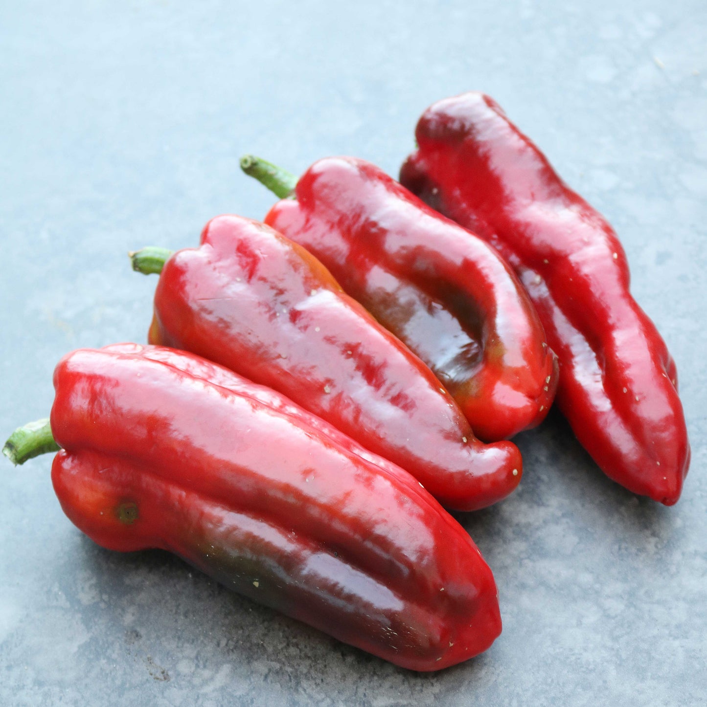 Marconi Red Pepper on the plant